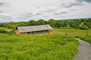 Darnells Farm Glamping